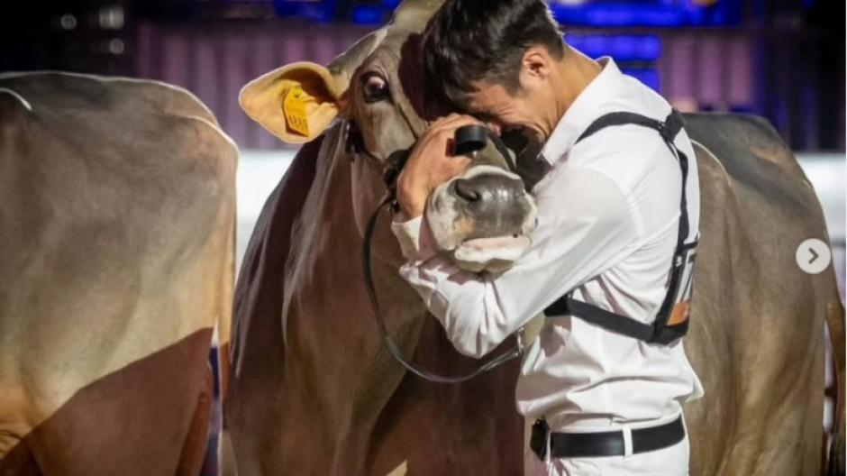 Razza Bruna, il VCO brilla a Verona: tre allevamenti sul podio nazionale